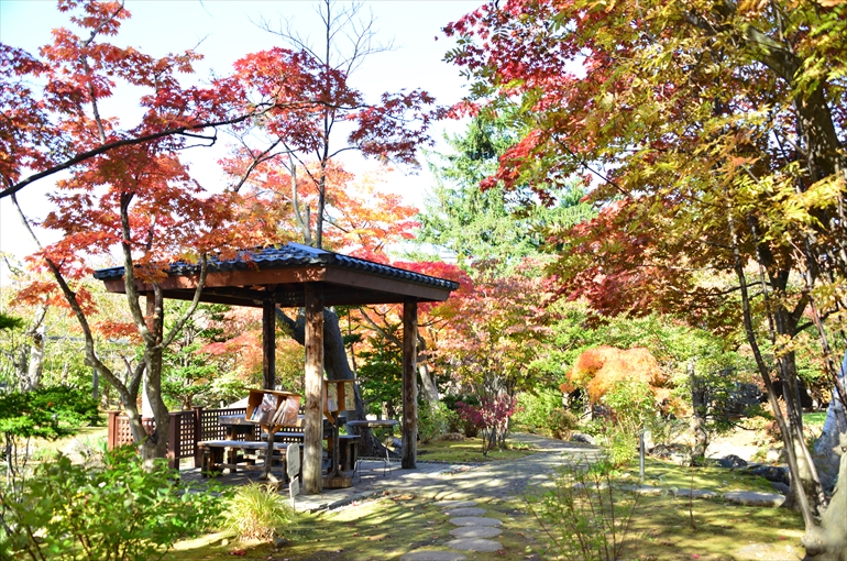 庭園の風景（秋・１０月撮影） 2