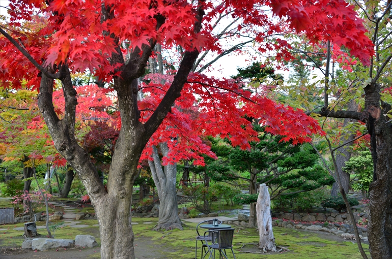 庭園の風景（秋・１０月撮影） 3