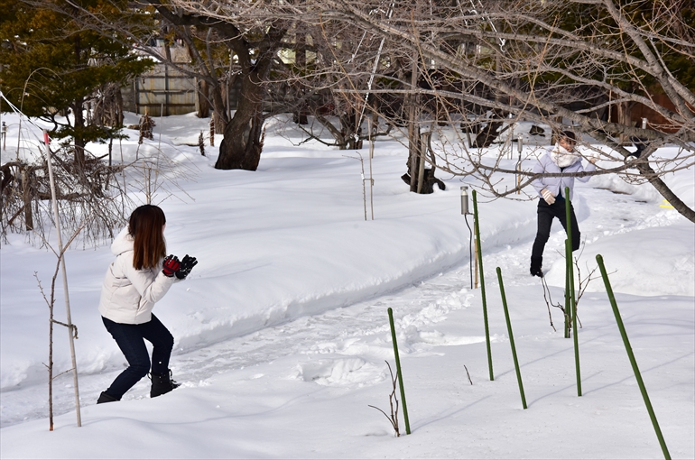 冬季は庭園でソリ・かまくら・雪合戦が楽しめる 2