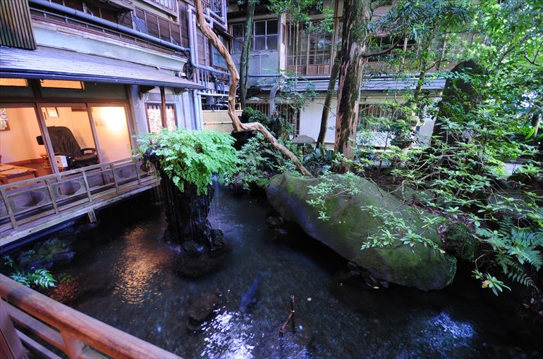 1F客室「早川」から見る中庭の池