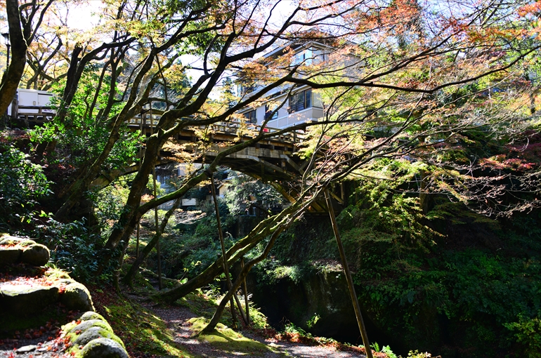 こおろぎ橋