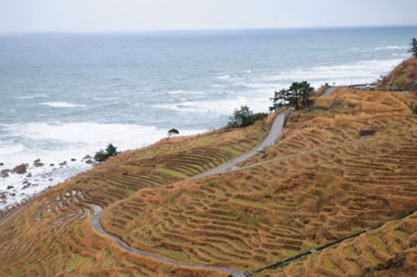 白米の千米田