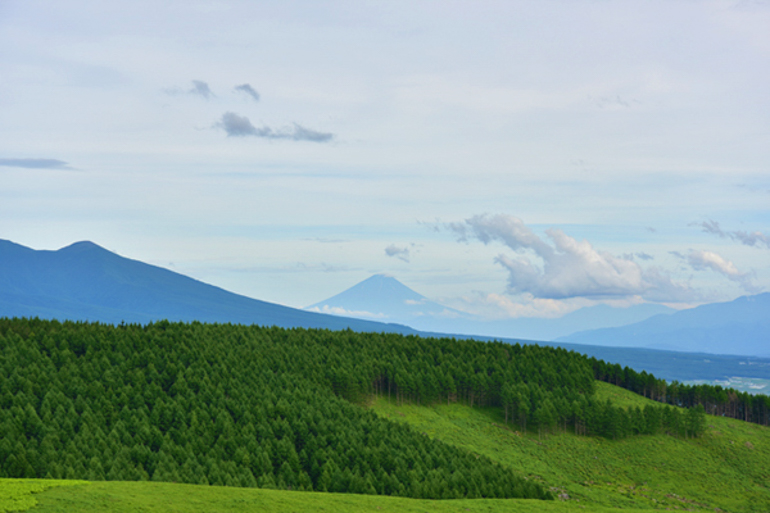 たてしな藍-お土産・周辺観光の画像