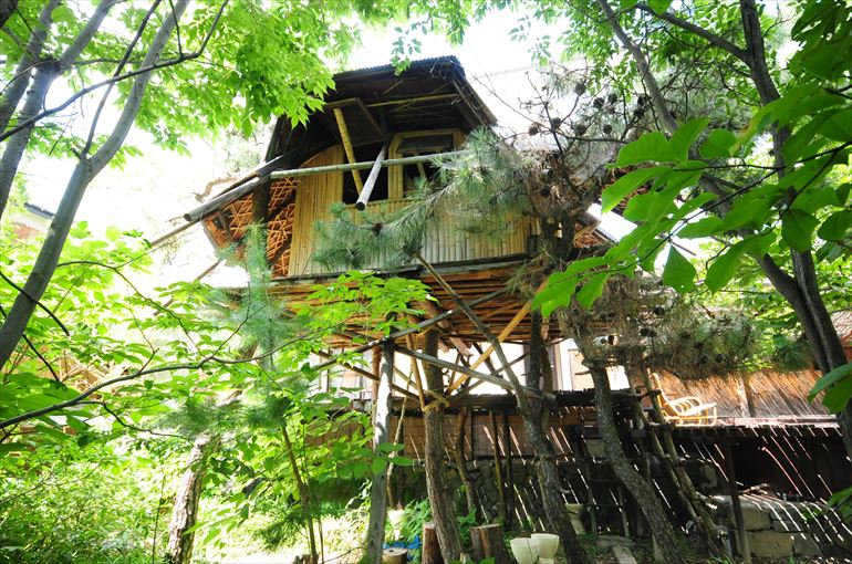 ツリーハウス「登夢創屋」