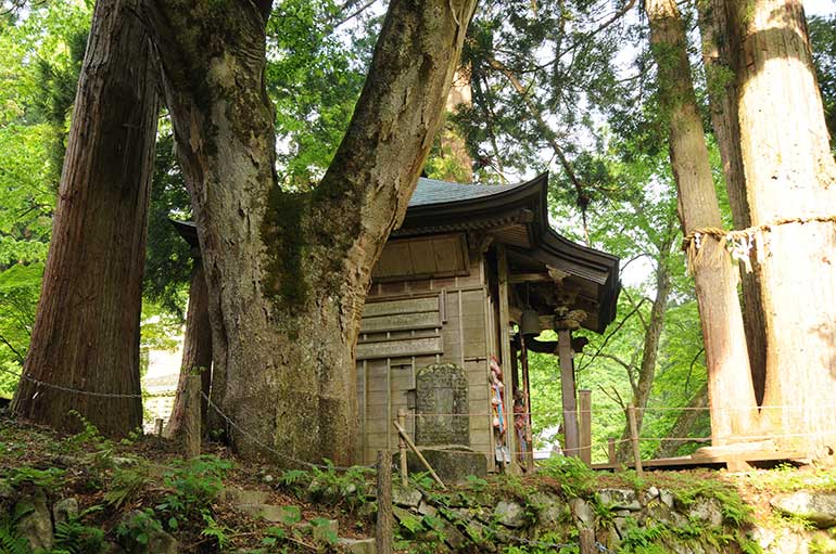 栃尾又温泉 自在館 - コラム～総括の画像