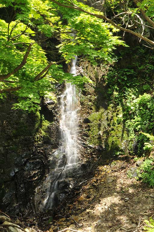 栃尾又温泉 自在館 - コラム～総括の画像