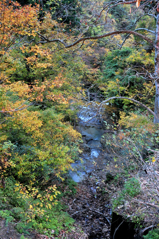 栃尾又温泉 自在館 - コラム～総括の画像