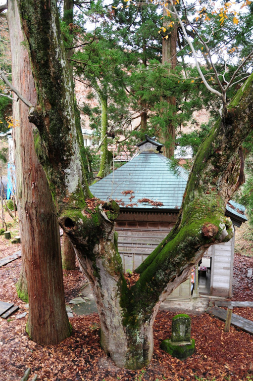 栃尾又温泉 自在館 - コラム～総括の画像