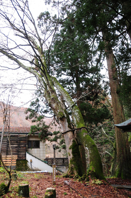 栃尾又温泉 自在館 - おまけの画像