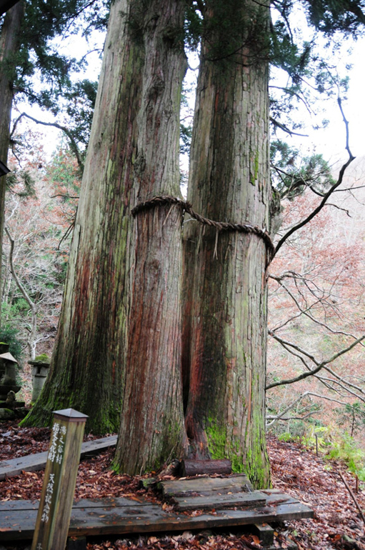 栃尾又温泉 自在館 - おまけの画像