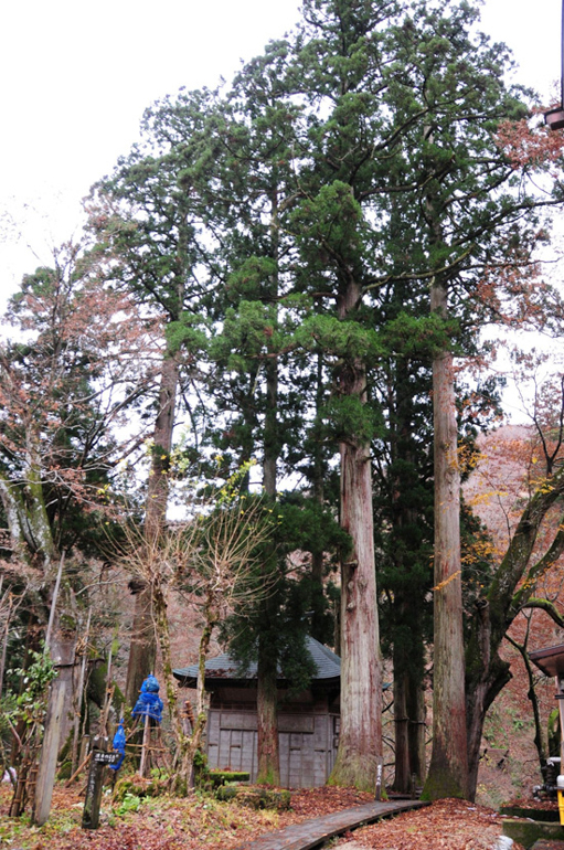 栃尾又温泉 自在館 - おまけの画像