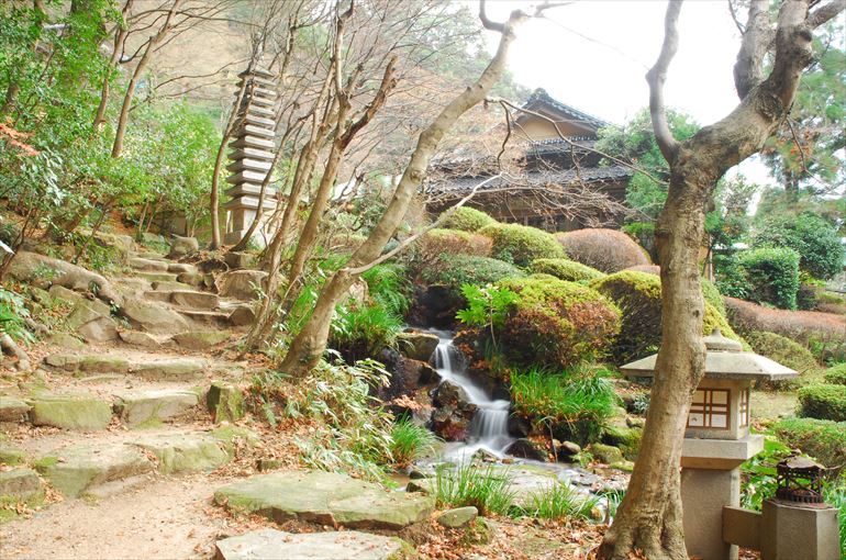 回遊式庭園「依水苑」・・・12月中旬撮影