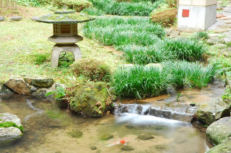 回遊式庭園「依水苑」・・・12月中旬撮影