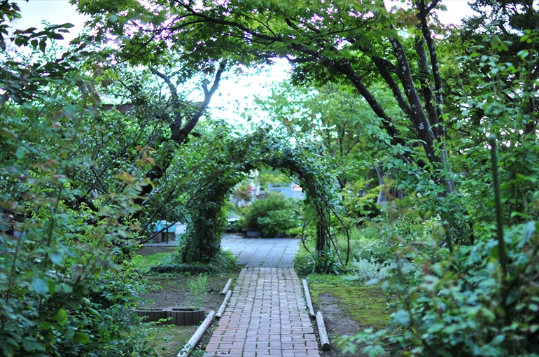 庭園の風景（夏・８月撮影） 2