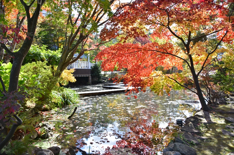 庭園の風景（秋・１０月撮影） 5