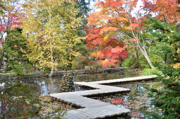 庭園の風景（秋・１０月撮影） 6