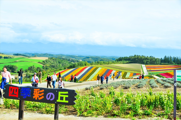 展望花畑　四季彩の丘1