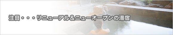 リニューアル＆ニューオープンの湯宿