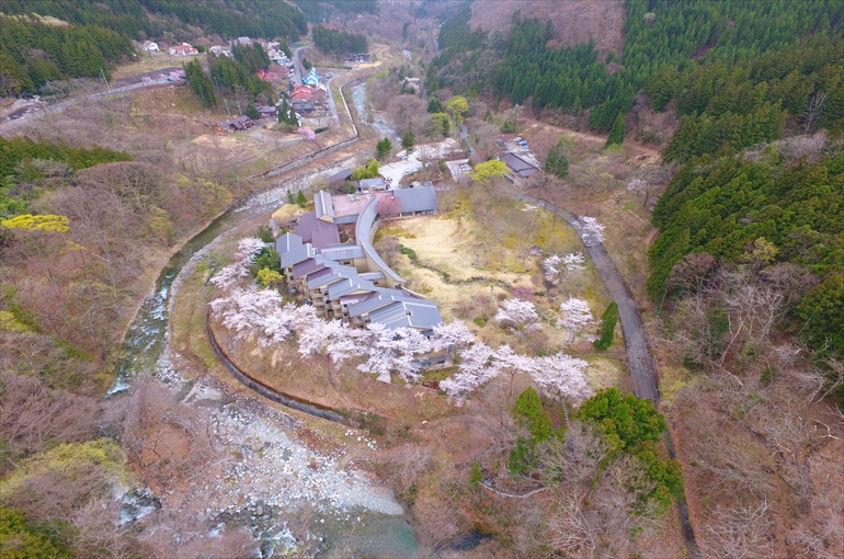 春・4月の風景