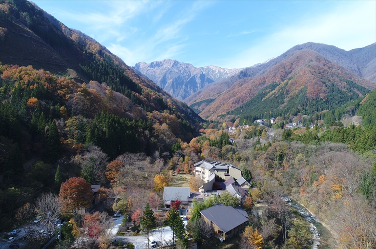 秋・11月の風景