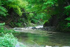 庭園の風景5