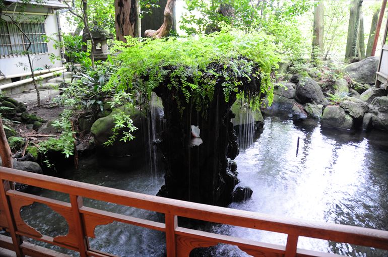 湯上り処から見る池