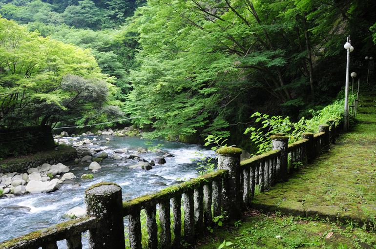 「元湯　環翠楼」の遊歩道