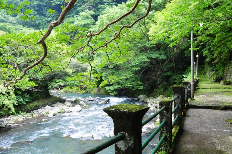 静寛院宮（和宮）様が散策された早川沿いの遊歩道（6月撮影）