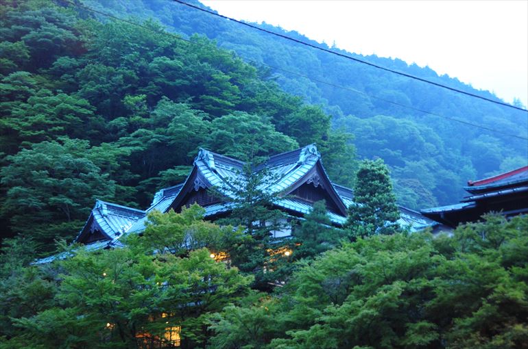 「元湯　環翠楼」～玉の緒橋から見た本館南棟の屋根と湯坂山