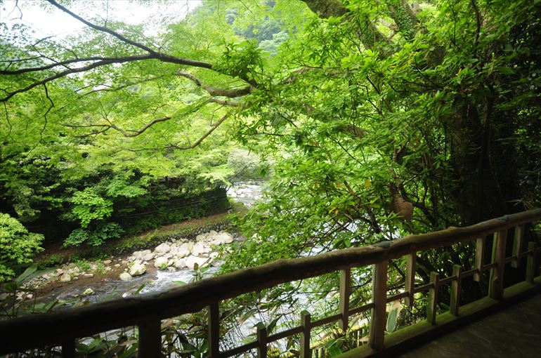 離れ「洗心亭」から見る渓流・早川