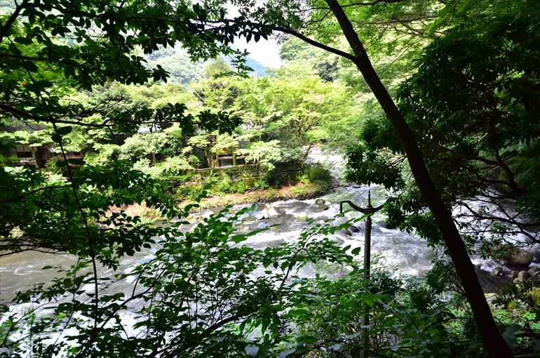 「静寛の湯」から見た早川