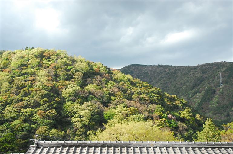 「湯坂山｣と「塔之峰」