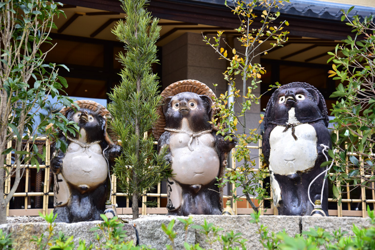 Shigarakiyaki tanuki