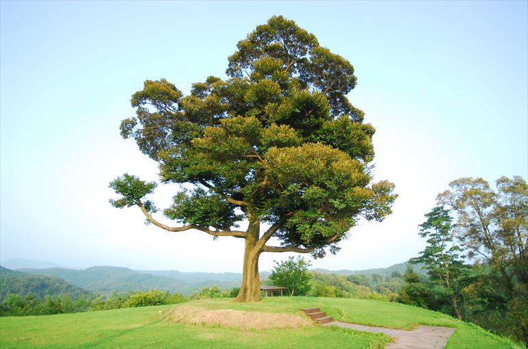 「頂上」