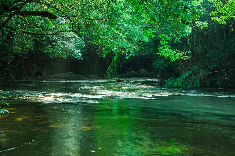 石坂川2