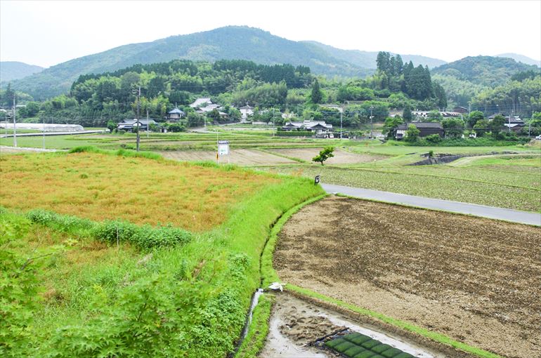 「ほたるの長屋」の周りの景観