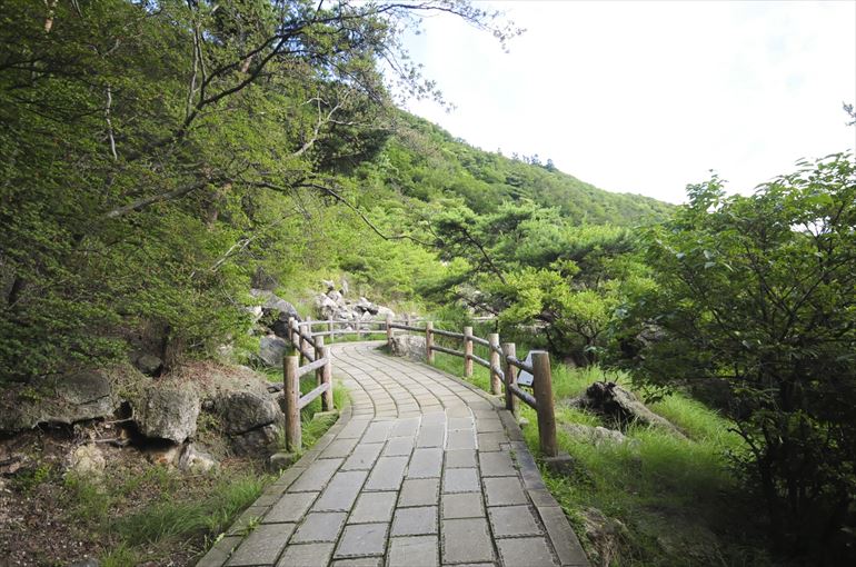 「雲仙地獄」への石階段1