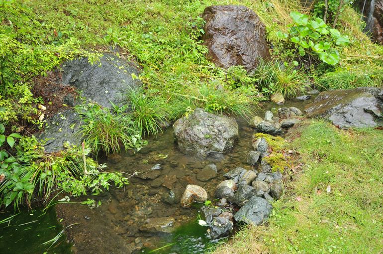 ホタルが現れる「別邸 ゆむた」前の小川