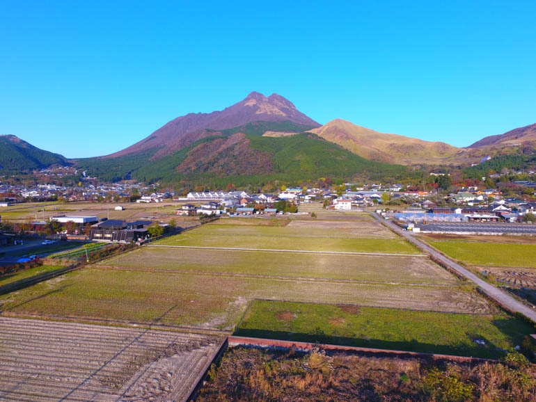 草庵秋桜 - コラム～総括（1）画像