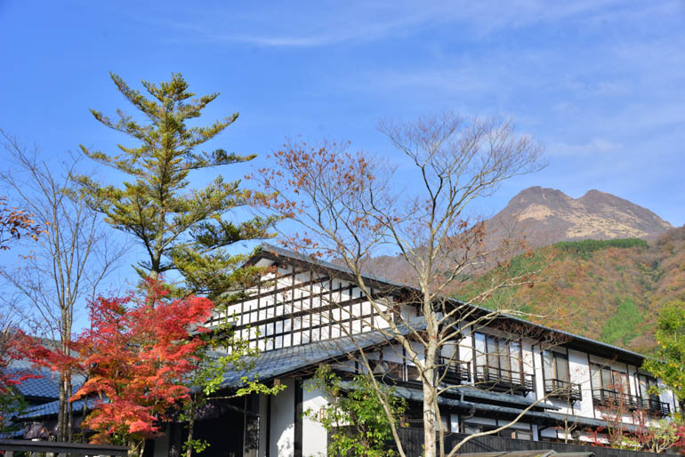 草庵秋桜 - コラム～総括（5）画像