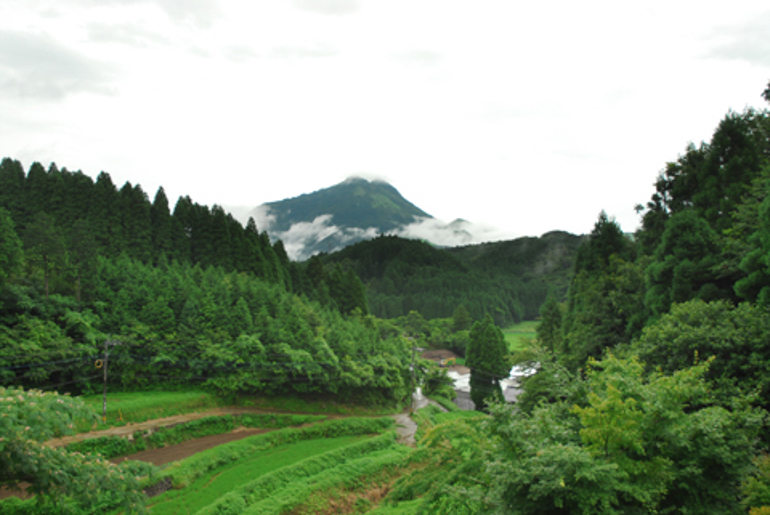 客室の画像（1）