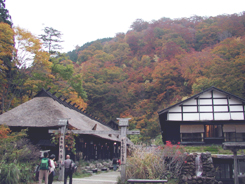 本館秘湯「鶴の湯」全景