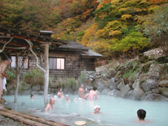 本館秘湯「鶴の湯」混浴露天風呂