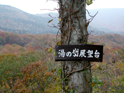 別館「山の宿」周辺