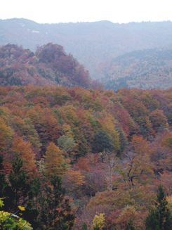 別館「山の宿」周辺