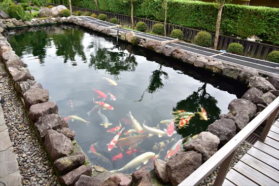 静楓亭-コラム～総括ページその8の画像
