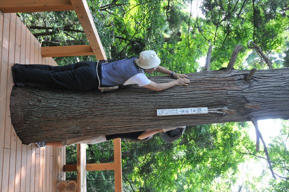 ガイドをする「彩花亭　時代屋」社長の冨士さん2